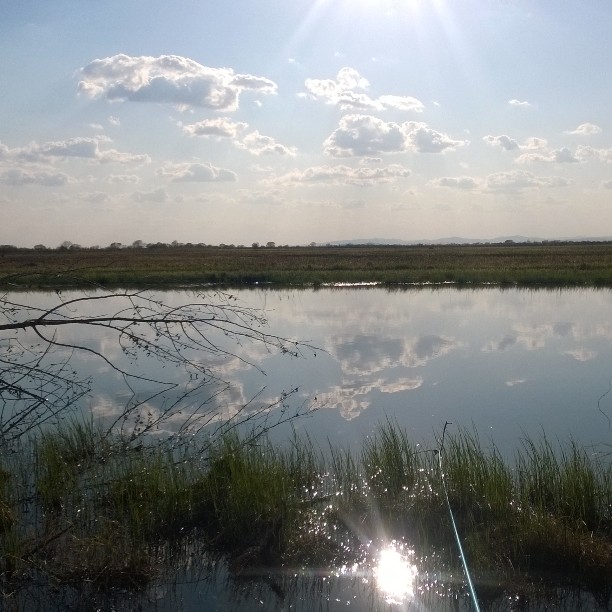 Прогноз погода в саратове на две недели